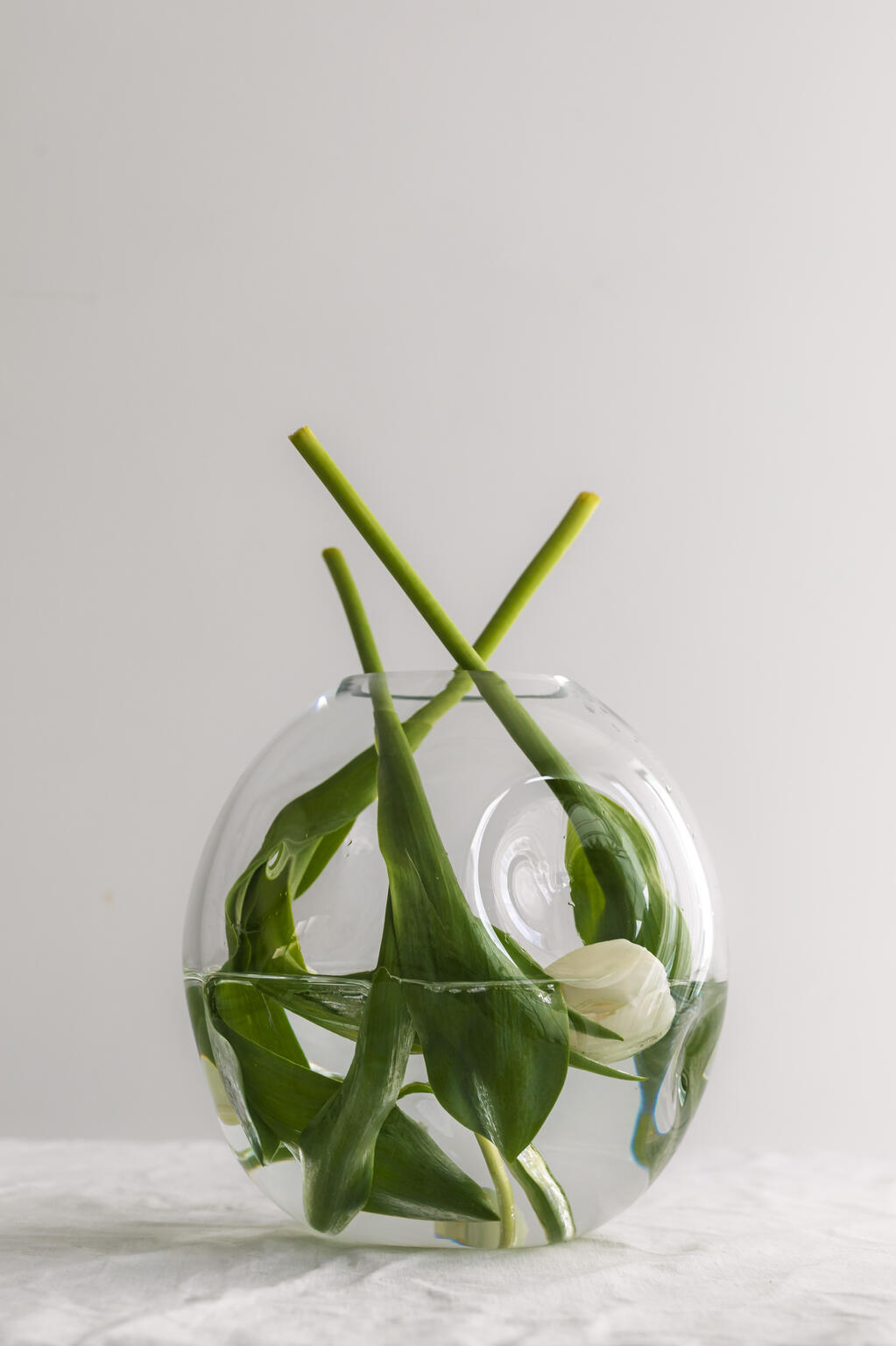 Founder of Zenithoo Founder of Zenithoo